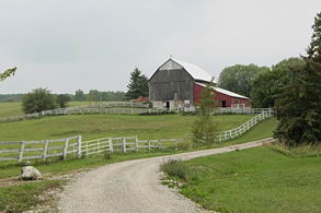 Barn Paddocks - Country homes for sale and luxury real estate including horse farms and property in the Caledon and King City areas near Toronto